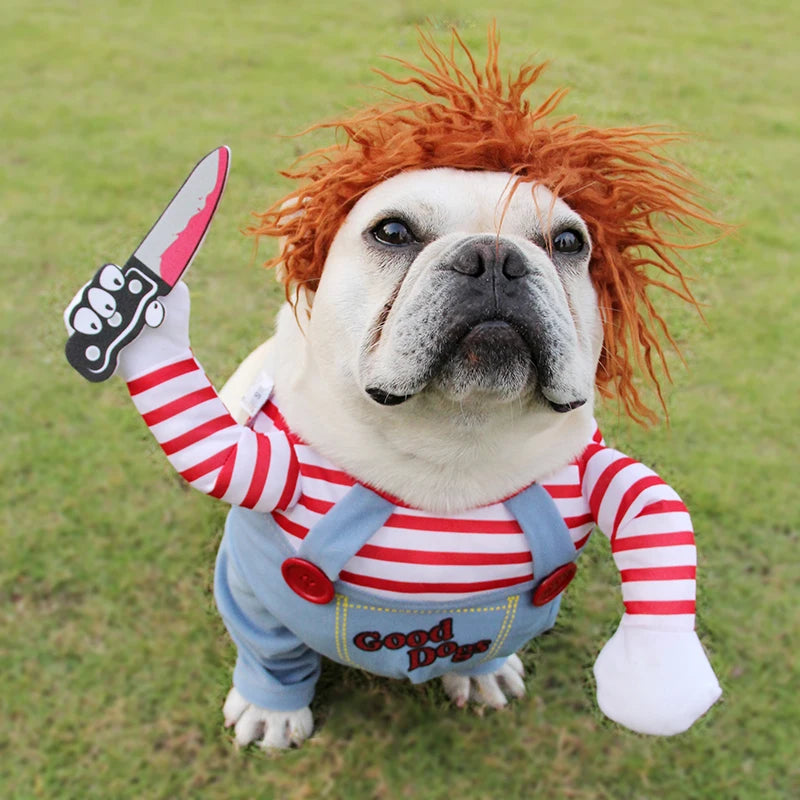 Traje Halloween para pet